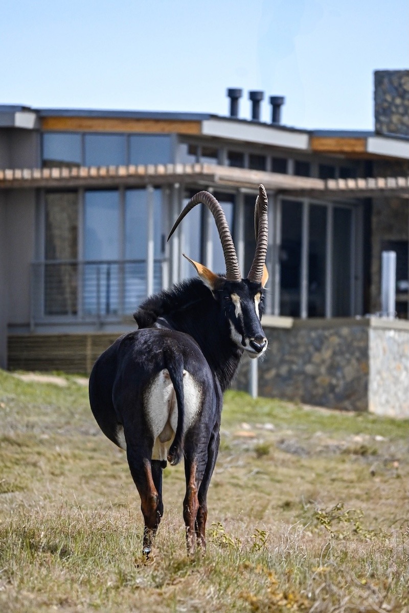 GW_Sep25_Edited-0939