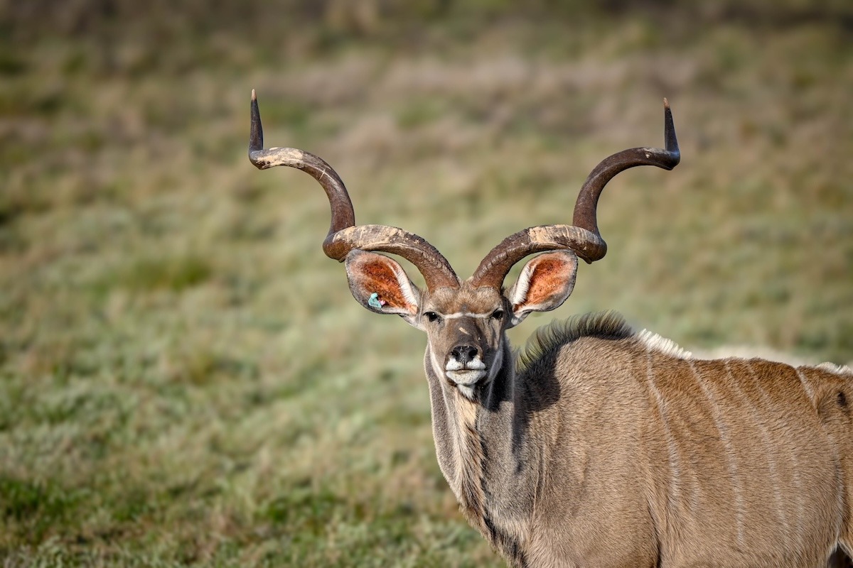 GW_Sep25_Edited-1014