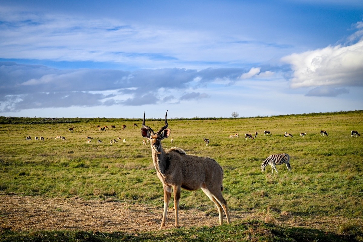 GW_Sep25_Edited-1021