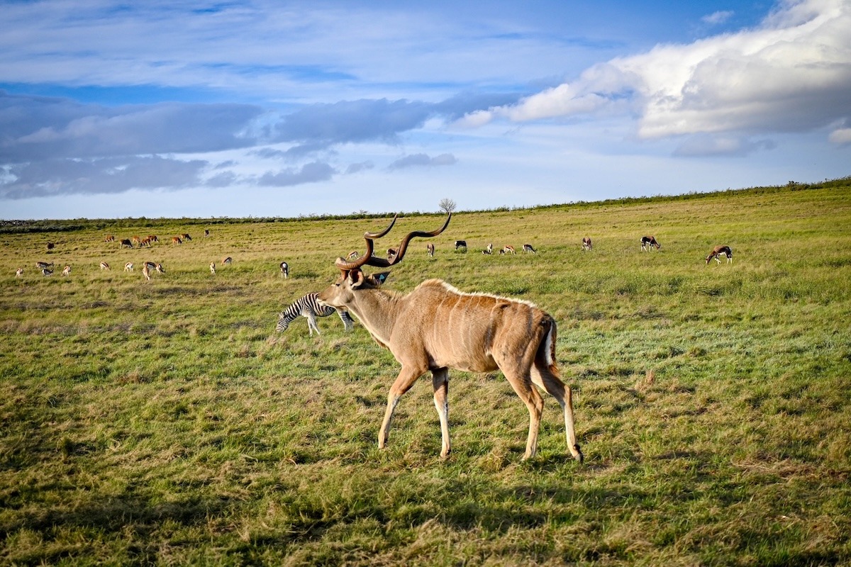 GW_Sep25_Edited-1025